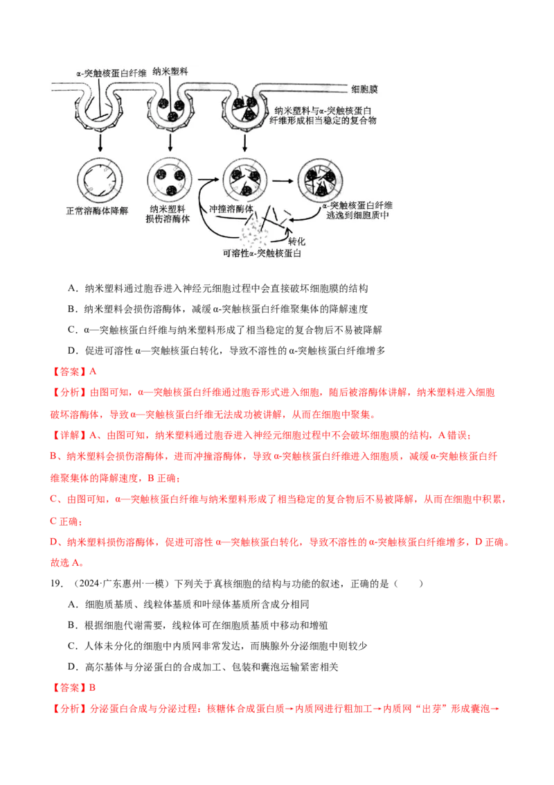 押广东卷选择题细胞的物质基础和结构基础（解析版）_2024年新高考资料_5.2024三轮冲刺_备战2024年高考生物临考题号押题（广东专用）323137816
