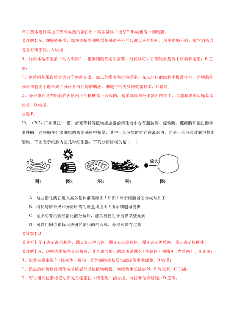 押广东卷选择题细胞的物质基础和结构基础（解析版）_2024年新高考资料_5.2024三轮冲刺_备战2024年高考生物临考题号押题（广东专用）323137816