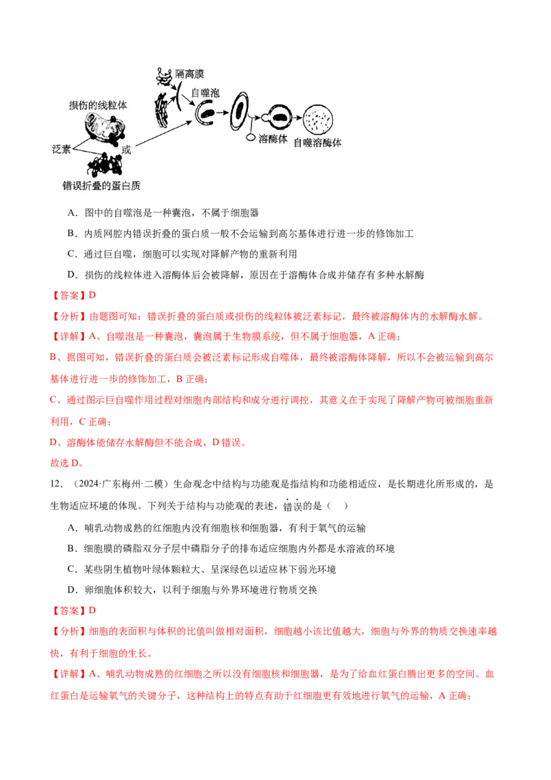押广东卷选择题细胞的物质基础和结构基础（解析版）_2024年新高考资料_5.2024三轮冲刺_备战2024年高考生物临考题号押题（广东专用）323137816