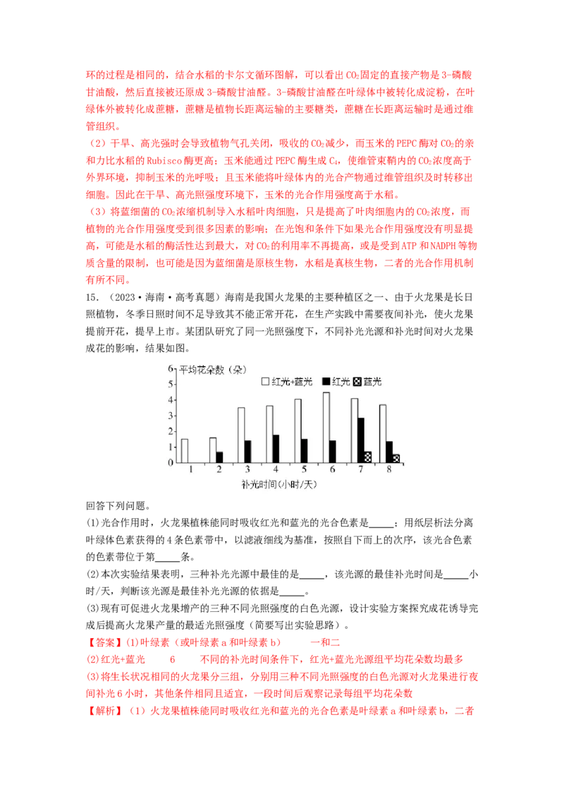 专题09光合作用和呼吸作用（解析版）_2024年新高考资料_1.2024一轮复习_备战2024年高考生物一轮复习抢分特训（全国通用）