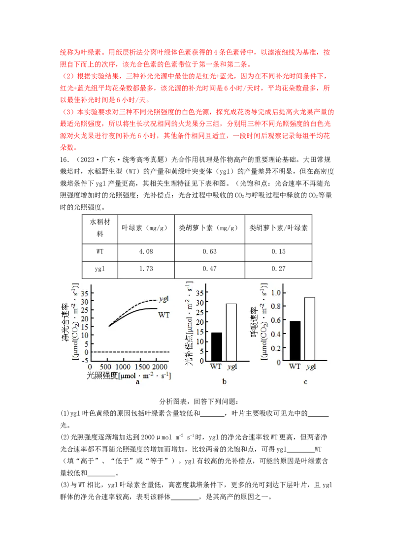 专题09光合作用和呼吸作用（解析版）_2024年新高考资料_1.2024一轮复习_备战2024年高考生物一轮复习抢分特训（全国通用）