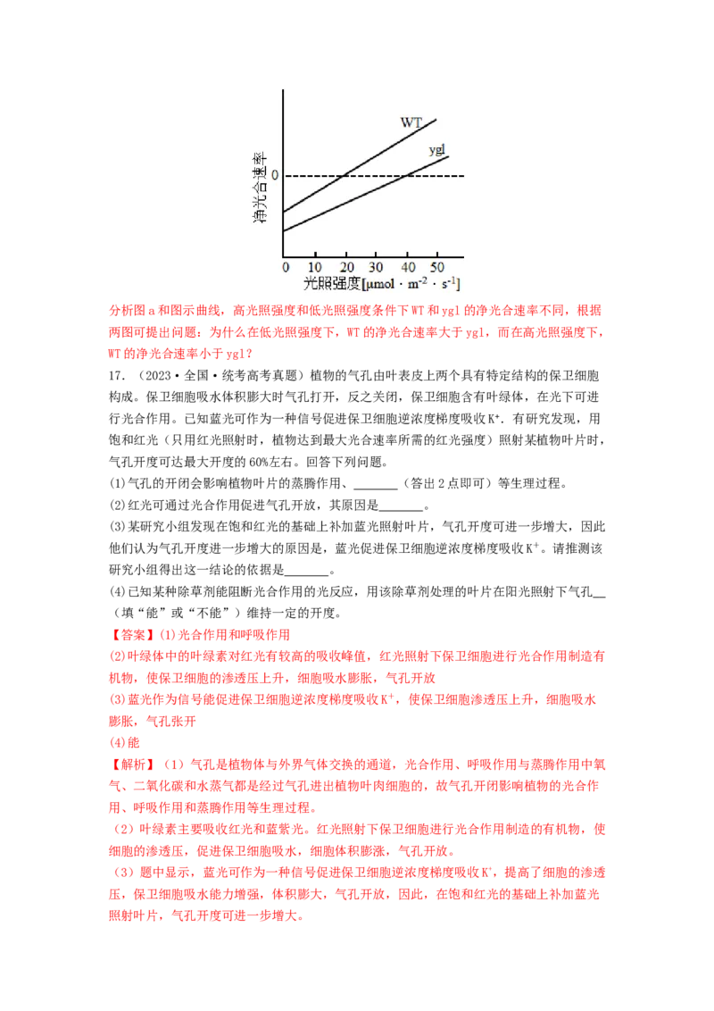 专题09光合作用和呼吸作用（解析版）_2024年新高考资料_1.2024一轮复习_备战2024年高考生物一轮复习抢分特训（全国通用）
