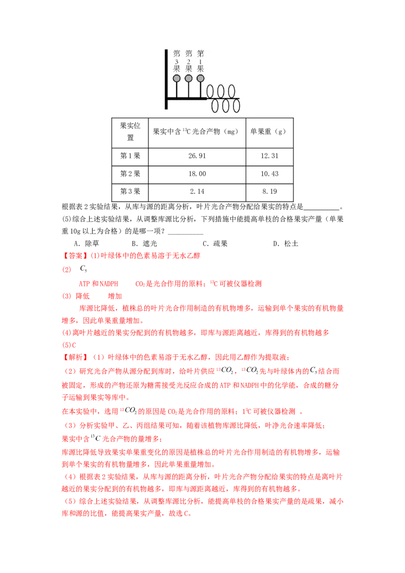 专题09光合作用和呼吸作用（解析版）_2024年新高考资料_1.2024一轮复习_备战2024年高考生物一轮复习抢分特训（全国通用）