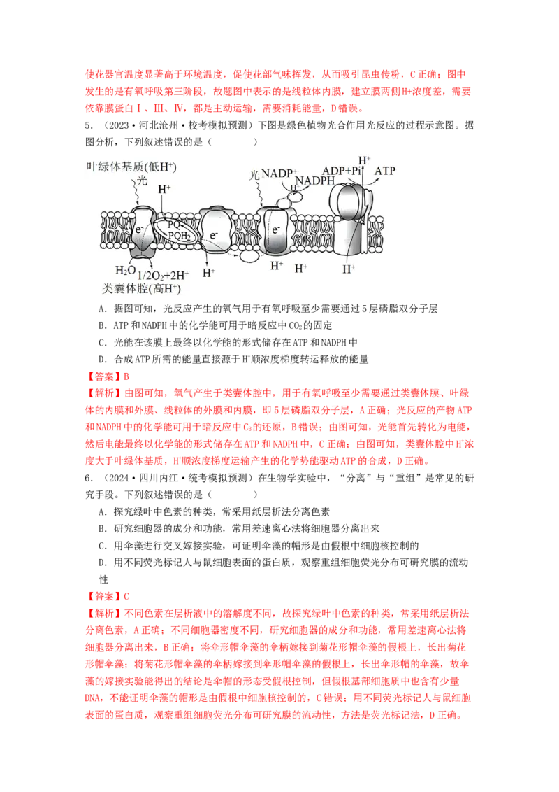 专题09光合作用和呼吸作用（解析版）_2024年新高考资料_1.2024一轮复习_备战2024年高考生物一轮复习抢分特训（全国通用）