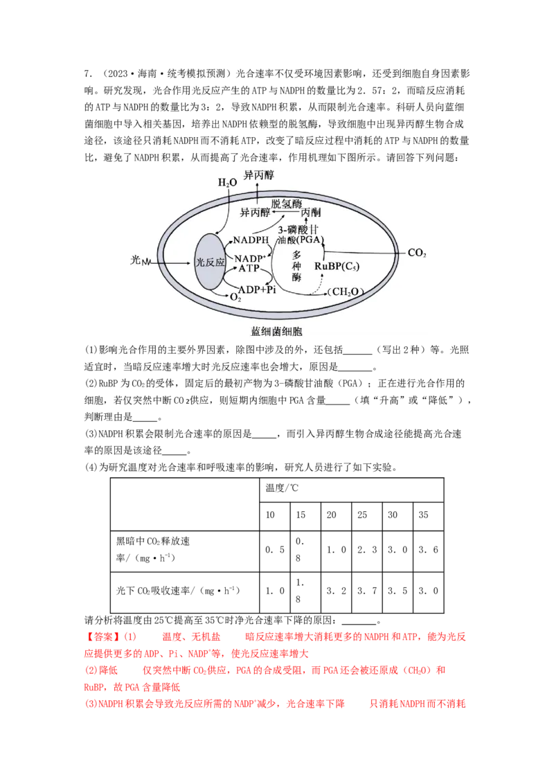 专题09光合作用和呼吸作用（解析版）_2024年新高考资料_1.2024一轮复习_备战2024年高考生物一轮复习抢分特训（全国通用）