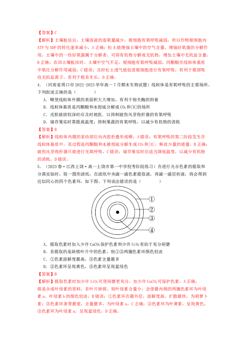 专题09光合作用和呼吸作用（解析版）_2024年新高考资料_1.2024一轮复习_备战2024年高考生物一轮复习抢分特训（全国通用）