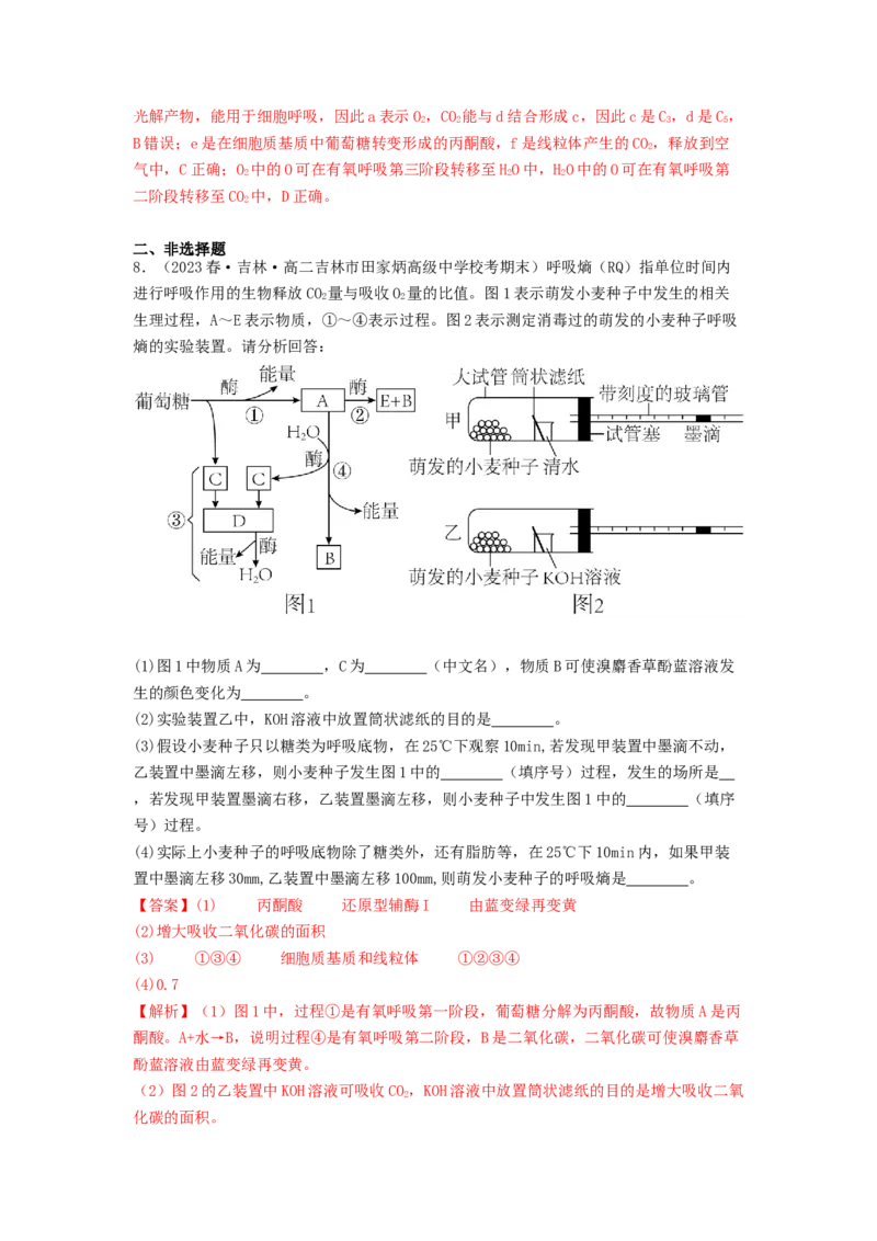 专题09光合作用和呼吸作用（解析版）_2024年新高考资料_1.2024一轮复习_备战2024年高考生物一轮复习抢分特训（全国通用）