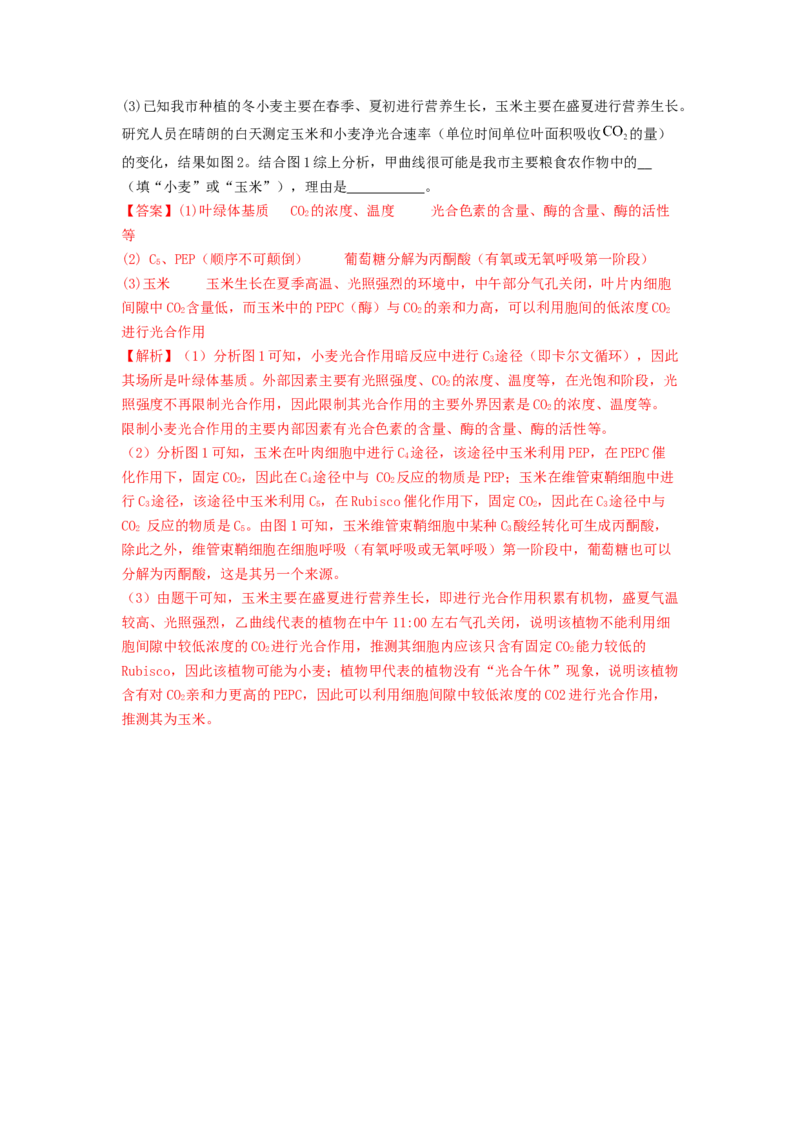 专题09光合作用和呼吸作用（解析版）_2024年新高考资料_1.2024一轮复习_备战2024年高考生物一轮复习抢分特训（全国通用）