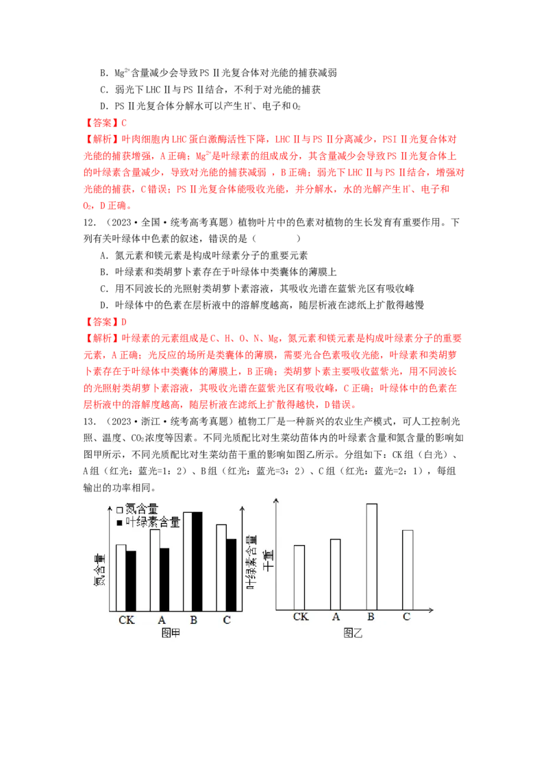专题09光合作用和呼吸作用（解析版）_2024年新高考资料_1.2024一轮复习_备战2024年高考生物一轮复习抢分特训（全国通用）