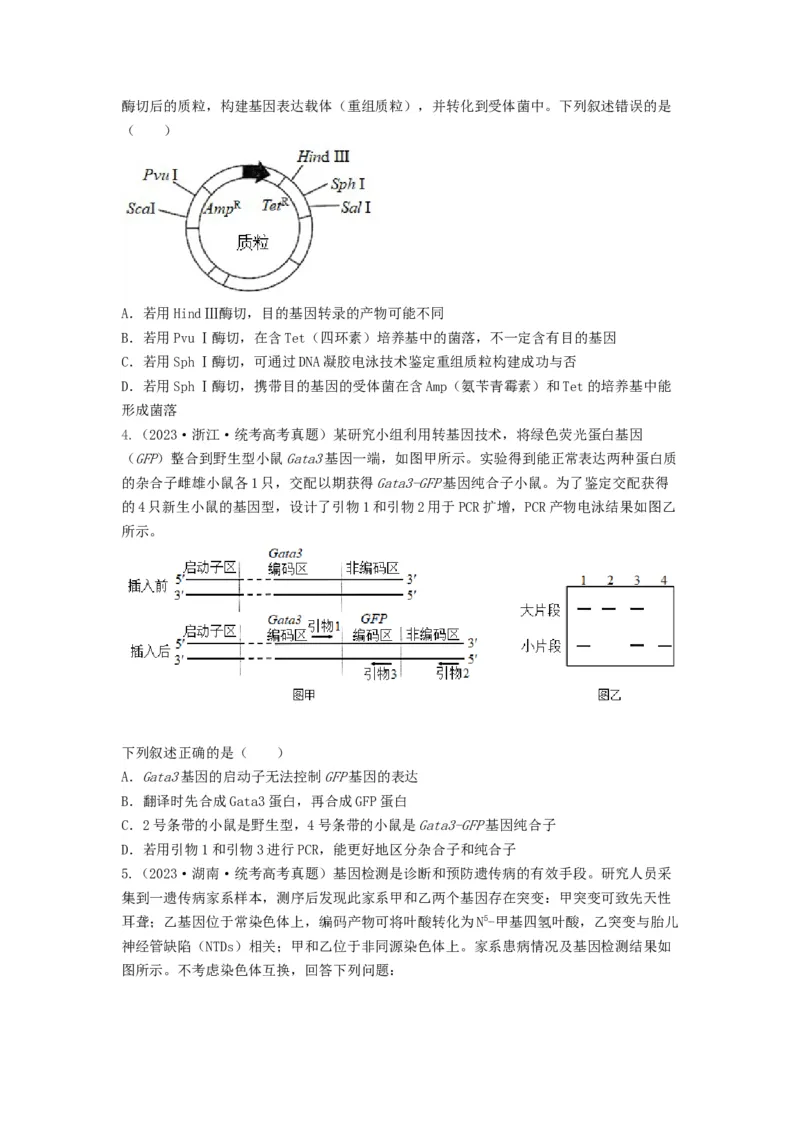 专题32基因工程（串讲）（原卷版）_2024年新高考资料_1.2024一轮复习_备战2024年高考生物一轮复习串讲精练（新高考专用）
