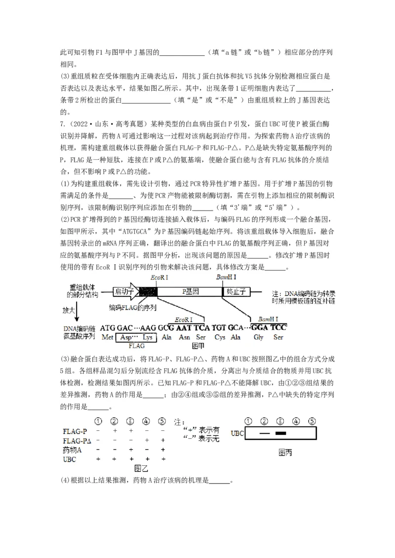 专题32基因工程（串讲）（原卷版）_2024年新高考资料_1.2024一轮复习_备战2024年高考生物一轮复习串讲精练（新高考专用）
