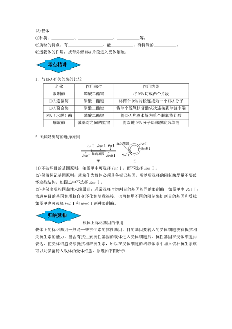专题32基因工程（串讲）（原卷版）_2024年新高考资料_1.2024一轮复习_备战2024年高考生物一轮复习串讲精练（新高考专用）