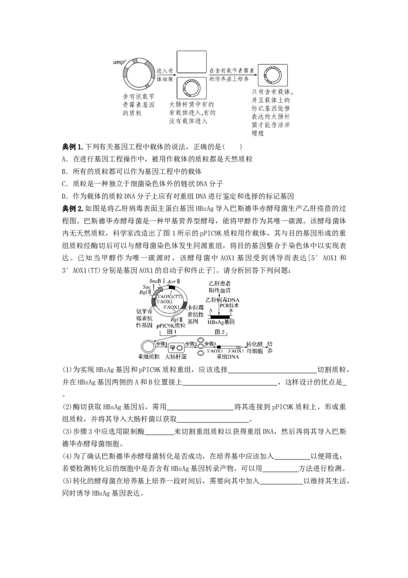 专题32基因工程（串讲）（原卷版）_2024年新高考资料_1.2024一轮复习_备战2024年高考生物一轮复习串讲精练（新高考专用）