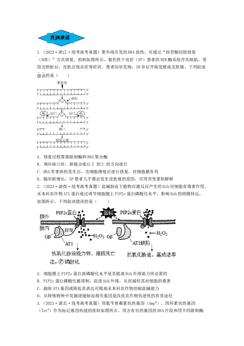 专题32基因工程（串讲）（原卷版）_2024年新高考资料_1.2024一轮复习_备战2024年高考生物一轮复习串讲精练（新高考专用）