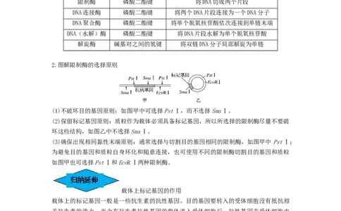 专题32基因工程（串讲）（原卷版）_2024年新高考资料_1.2024一轮复习_备战2024年高考生物一轮复习串讲精练（新高考专用）