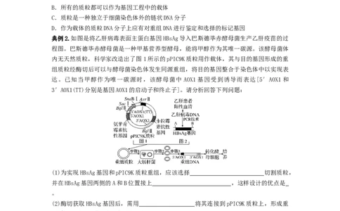 专题32基因工程（串讲）（原卷版）_2024年新高考资料_1.2024一轮复习_备战2024年高考生物一轮复习串讲精练（新高考专用）