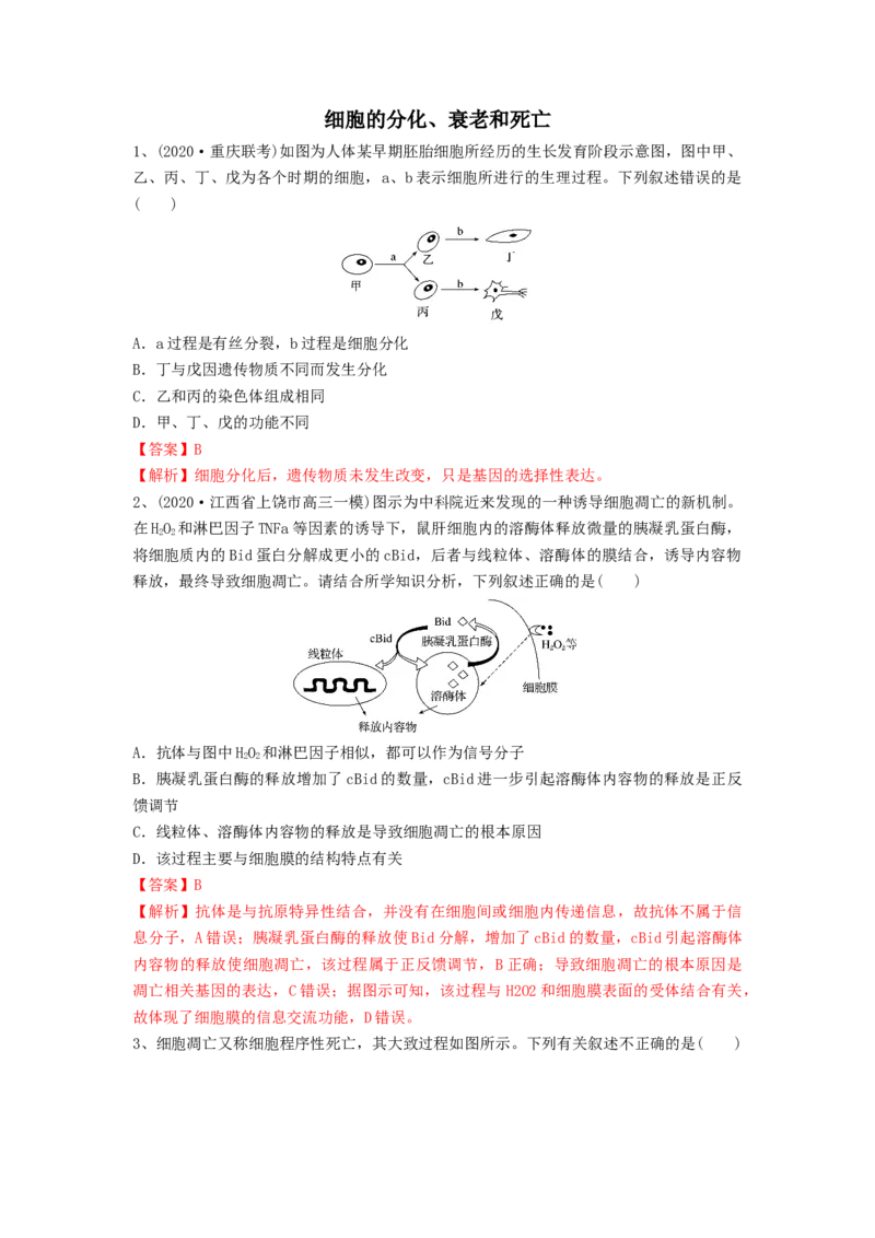 专题13细胞的分化、衰老和死亡（精练）（解析版）_2024年新高考资料_1.2024一轮复习_备战2024年高考生物一轮复习串讲精练（新高考专用）