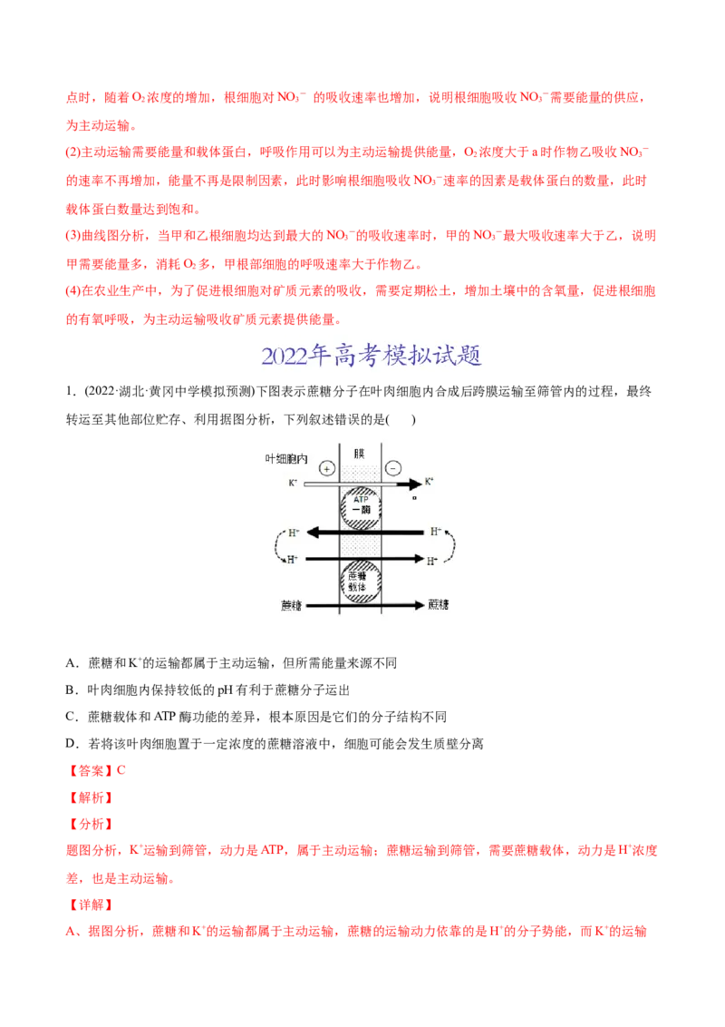 专题02细胞的物质运输、酶与ATP-2022年高考真题和模拟题生物分专题训练（教师版含解析）_2024年新高考资料_1.2024一轮复习_赠2022年高考生物真题与模拟题分类