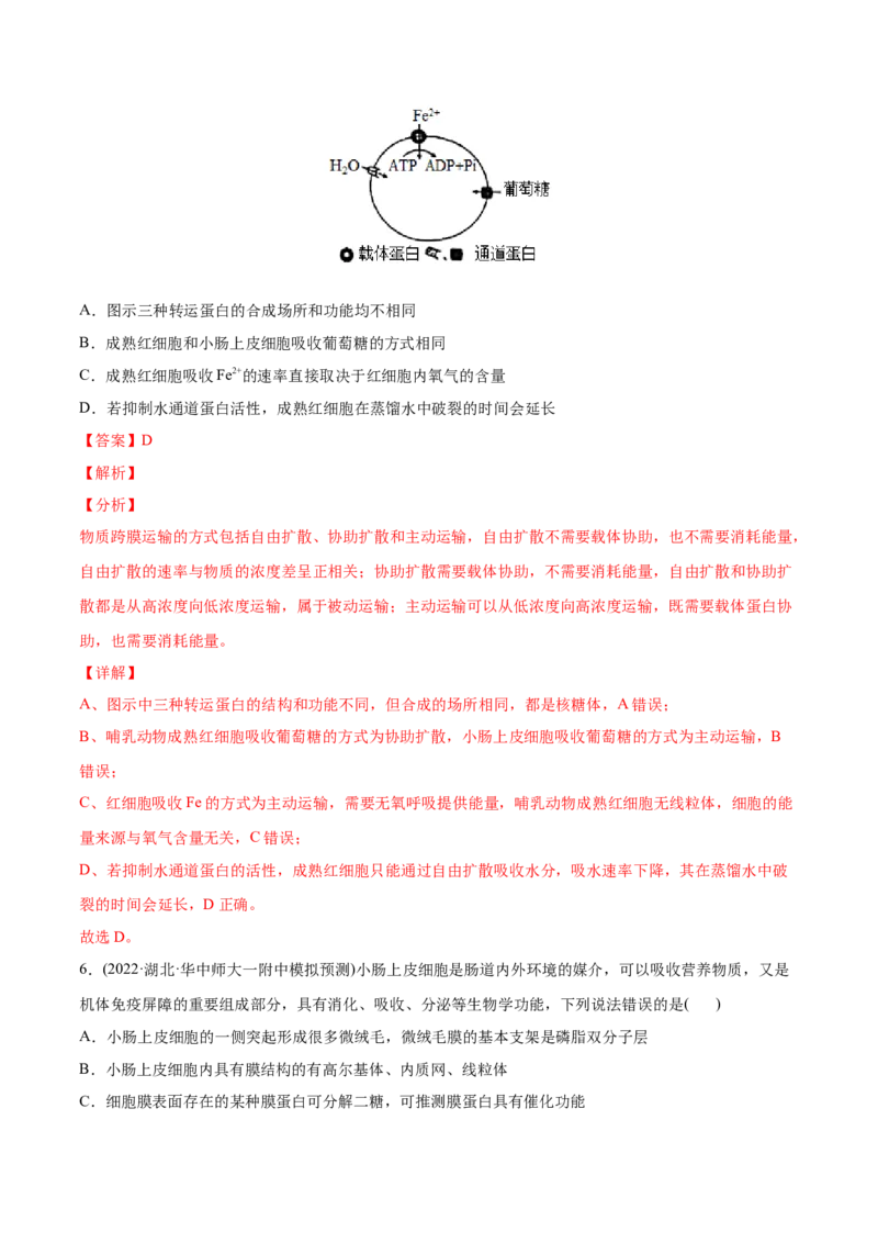 专题02细胞的物质运输、酶与ATP-2022年高考真题和模拟题生物分专题训练（教师版含解析）_2024年新高考资料_1.2024一轮复习_赠2022年高考生物真题与模拟题分类