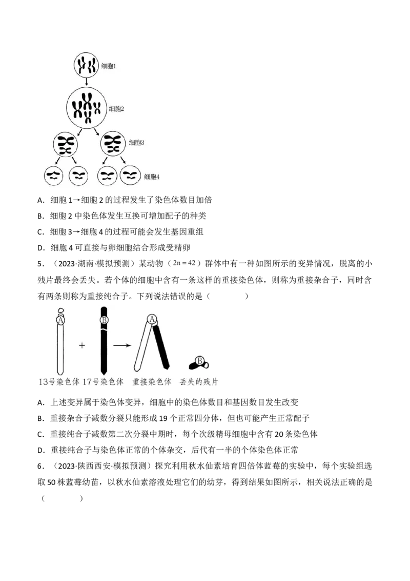 专题09生物的变异、进化与育种（原卷版）_2024年新高考资料_3.2024专项复习_备战2024年高考生物一轮复习重难点突破讲解与训练（新教材）