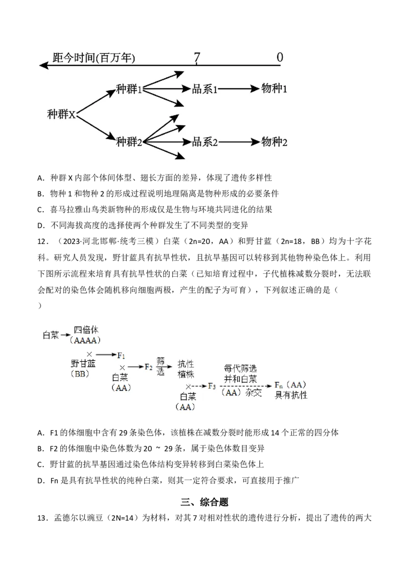 专题09生物的变异、进化与育种（原卷版）_2024年新高考资料_3.2024专项复习_备战2024年高考生物一轮复习重难点突破讲解与训练（新教材）