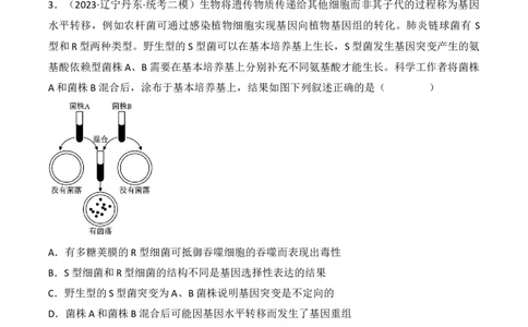 专题09生物的变异、进化与育种（原卷版）_2024年新高考资料_3.2024专项复习_备战2024年高考生物一轮复习重难点突破讲解与训练（新教材）