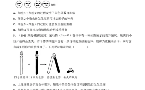 专题09生物的变异、进化与育种（原卷版）_2024年新高考资料_3.2024专项复习_备战2024年高考生物一轮复习重难点突破讲解与训练（新教材）