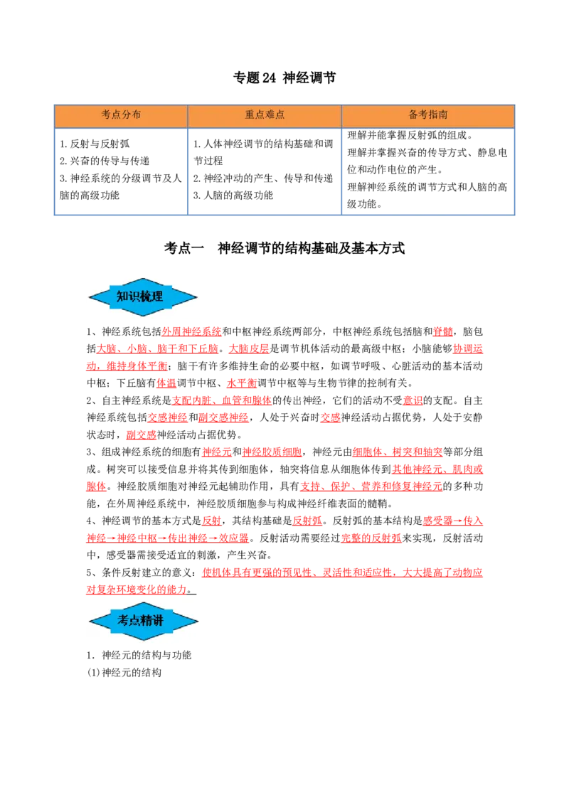 专题24神经调节（串讲）（解析版）_2024年新高考资料_1.2024一轮复习_备战2024年高考生物一轮复习串讲精练（新高考专用）