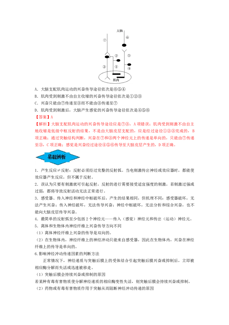 专题24神经调节（串讲）（解析版）_2024年新高考资料_1.2024一轮复习_备战2024年高考生物一轮复习串讲精练（新高考专用）