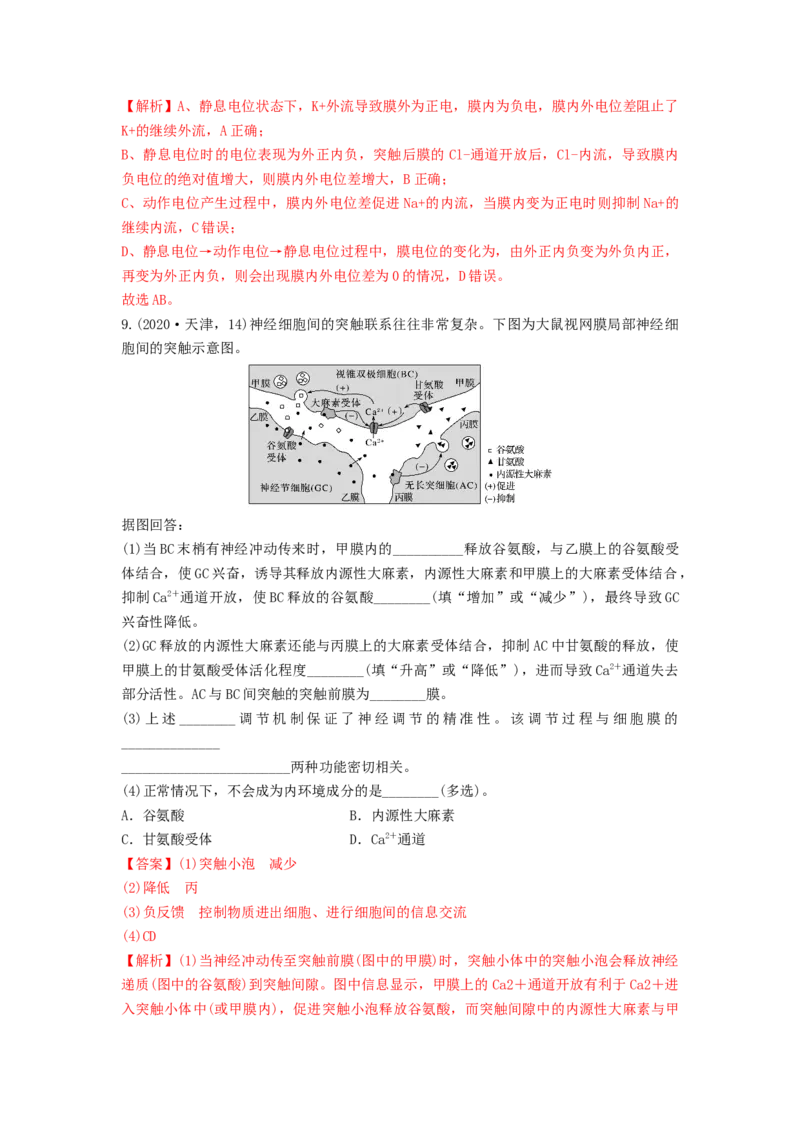 专题24神经调节（串讲）（解析版）_2024年新高考资料_1.2024一轮复习_备战2024年高考生物一轮复习串讲精练（新高考专用）