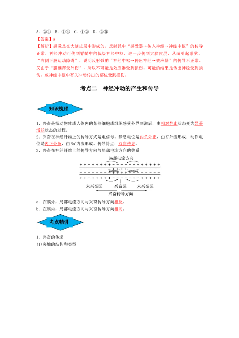 专题24神经调节（串讲）（解析版）_2024年新高考资料_1.2024一轮复习_备战2024年高考生物一轮复习串讲精练（新高考专用）