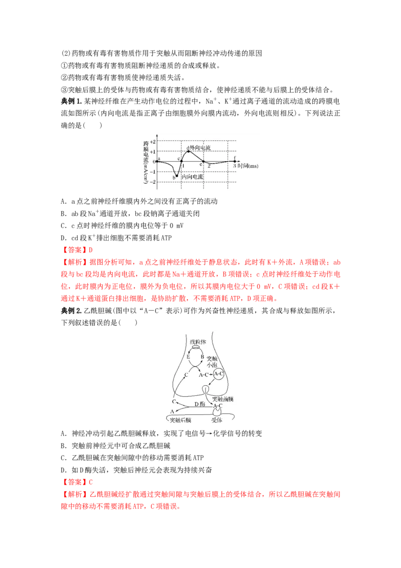 专题24神经调节（串讲）（解析版）_2024年新高考资料_1.2024一轮复习_备战2024年高考生物一轮复习串讲精练（新高考专用）