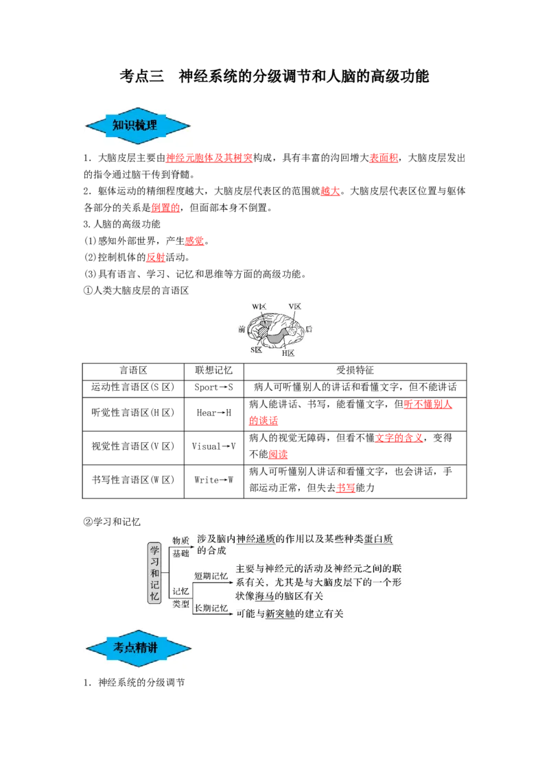 专题24神经调节（串讲）（解析版）_2024年新高考资料_1.2024一轮复习_备战2024年高考生物一轮复习串讲精练（新高考专用）