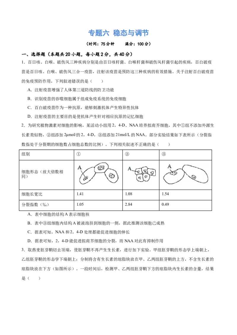 专题六稳态与调节（测试）（原卷版）_2024年新高考资料_2.2024二轮复习_2024年高考生物二轮复习讲练测（新教材新高考）