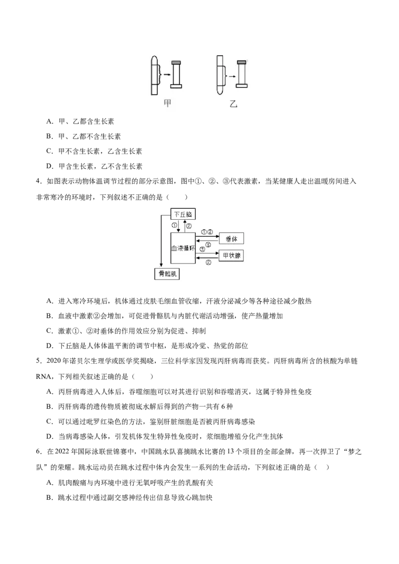 专题六稳态与调节（测试）（原卷版）_2024年新高考资料_2.2024二轮复习_2024年高考生物二轮复习讲练测（新教材新高考）