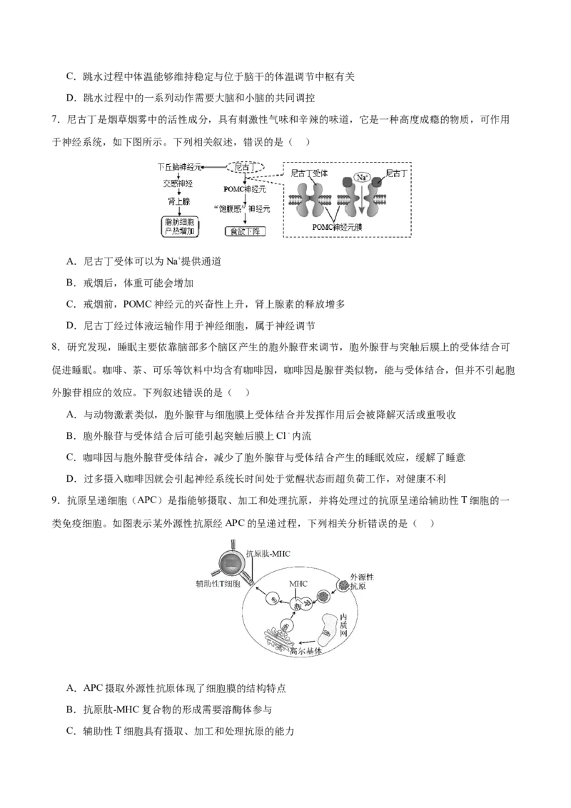 专题六稳态与调节（测试）（原卷版）_2024年新高考资料_2.2024二轮复习_2024年高考生物二轮复习讲练测（新教材新高考）