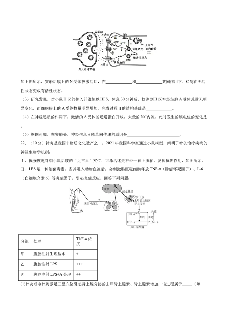 专题六稳态与调节（测试）（原卷版）_2024年新高考资料_2.2024二轮复习_2024年高考生物二轮复习讲练测（新教材新高考）