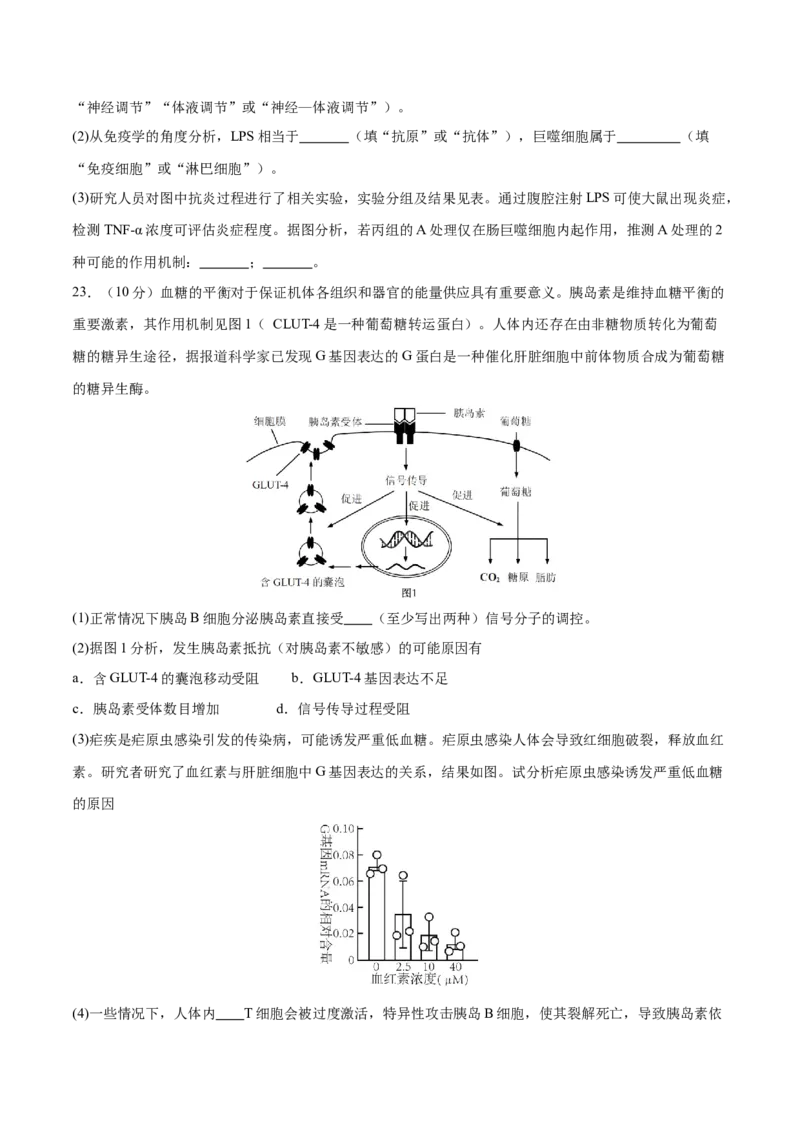 专题六稳态与调节（测试）（原卷版）_2024年新高考资料_2.2024二轮复习_2024年高考生物二轮复习讲练测（新教材新高考）