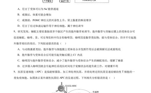 专题六稳态与调节（测试）（原卷版）_2024年新高考资料_2.2024二轮复习_2024年高考生物二轮复习讲练测（新教材新高考）