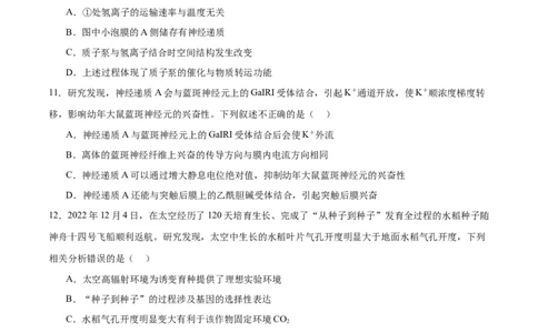 专题六稳态与调节（测试）（原卷版）_2024年新高考资料_2.2024二轮复习_2024年高考生物二轮复习讲练测（新教材新高考）