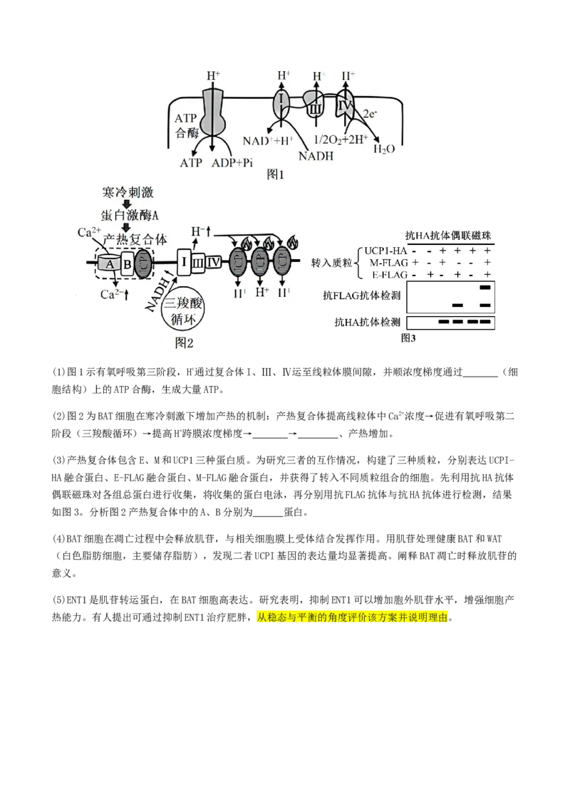 抢分13探究实验冲刺篇（学生版）_2024年新高考资料_5.2024三轮冲刺_备战2024年高考生物抢分秘籍（新高考专用）321842314