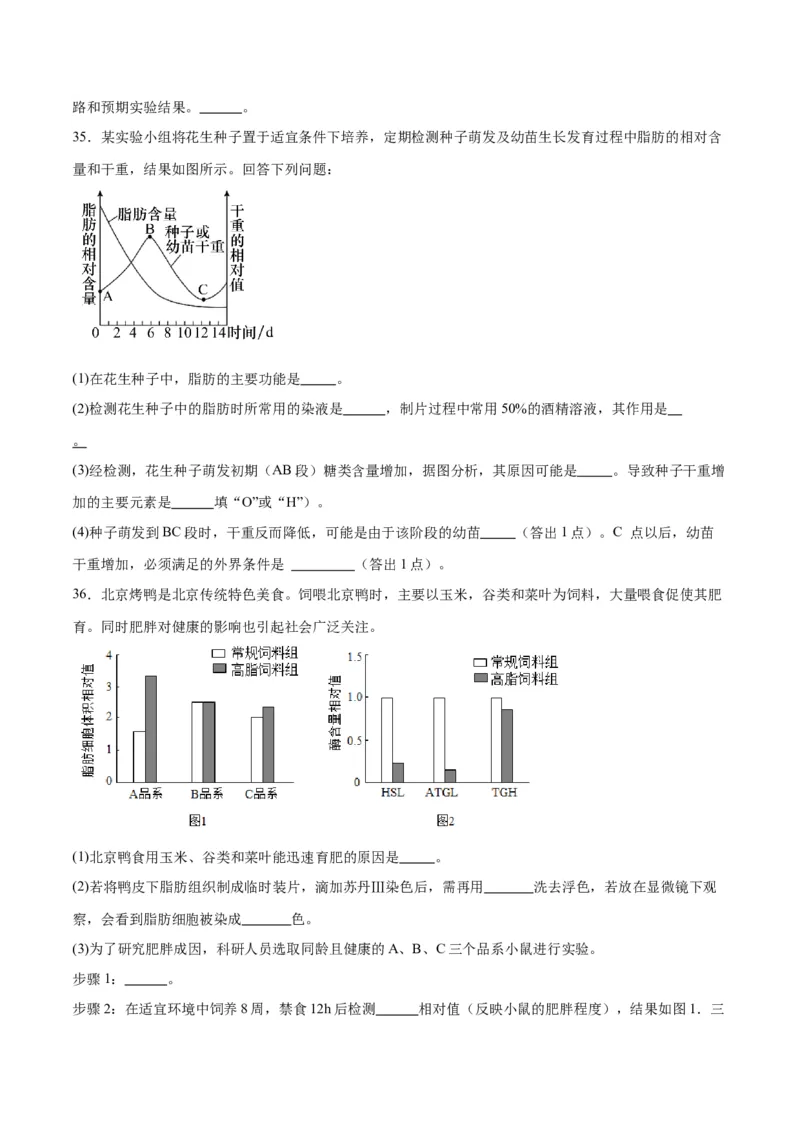 专题3糖类和脂质（原卷版)_2024年新高考资料_3.2024专项复习_备战2024年高考生物一轮复习重难点专项突破_专题03糖类和脂质-备战2024年高考生物一轮复习重难点专项突破