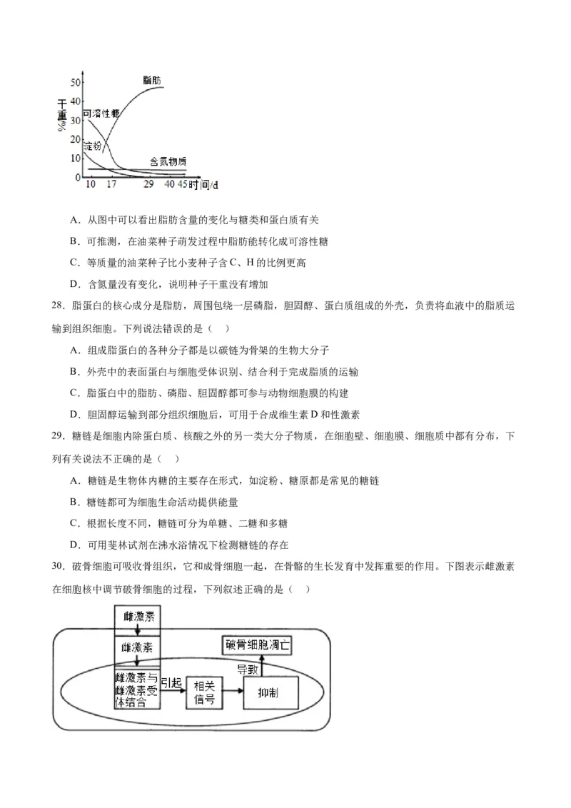 专题3糖类和脂质（原卷版)_2024年新高考资料_3.2024专项复习_备战2024年高考生物一轮复习重难点专项突破_专题03糖类和脂质-备战2024年高考生物一轮复习重难点专项突破