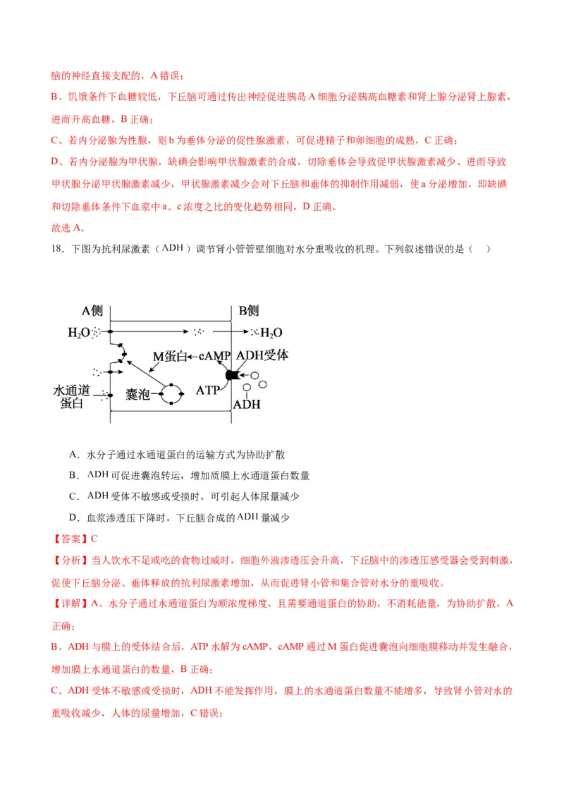 专题28体液调节与神经调节的关系（解析版)_2024年新高考资料_3.2024专项复习_备战2024年高考生物一轮复习重难点专项突破