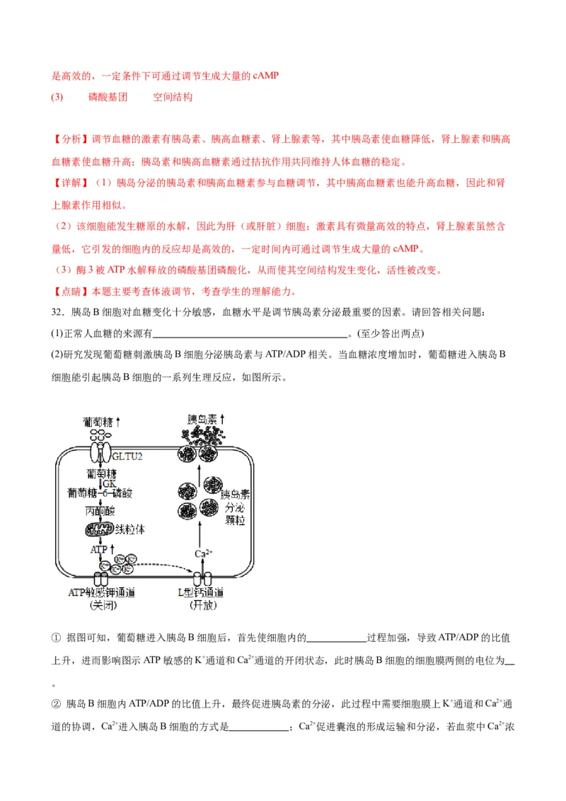 专题28体液调节与神经调节的关系（解析版)_2024年新高考资料_3.2024专项复习_备战2024年高考生物一轮复习重难点专项突破