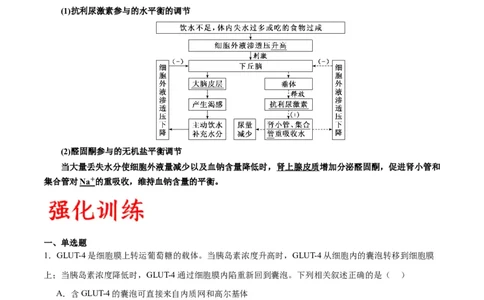 专题28体液调节与神经调节的关系（解析版)_2024年新高考资料_3.2024专项复习_备战2024年高考生物一轮复习重难点专项突破