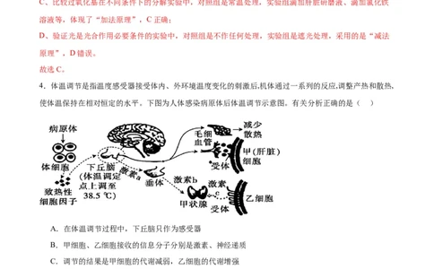 专题28体液调节与神经调节的关系（解析版)_2024年新高考资料_3.2024专项复习_备战2024年高考生物一轮复习重难点专项突破