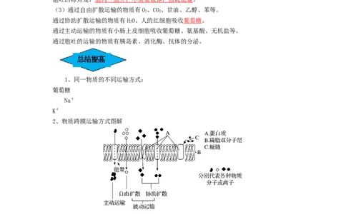 专题06细胞的物质输入和输出（串讲）（解析版）_2024年新高考资料_1.2024一轮复习_备战2024年高考生物一轮复习串讲精练（新高考专用）