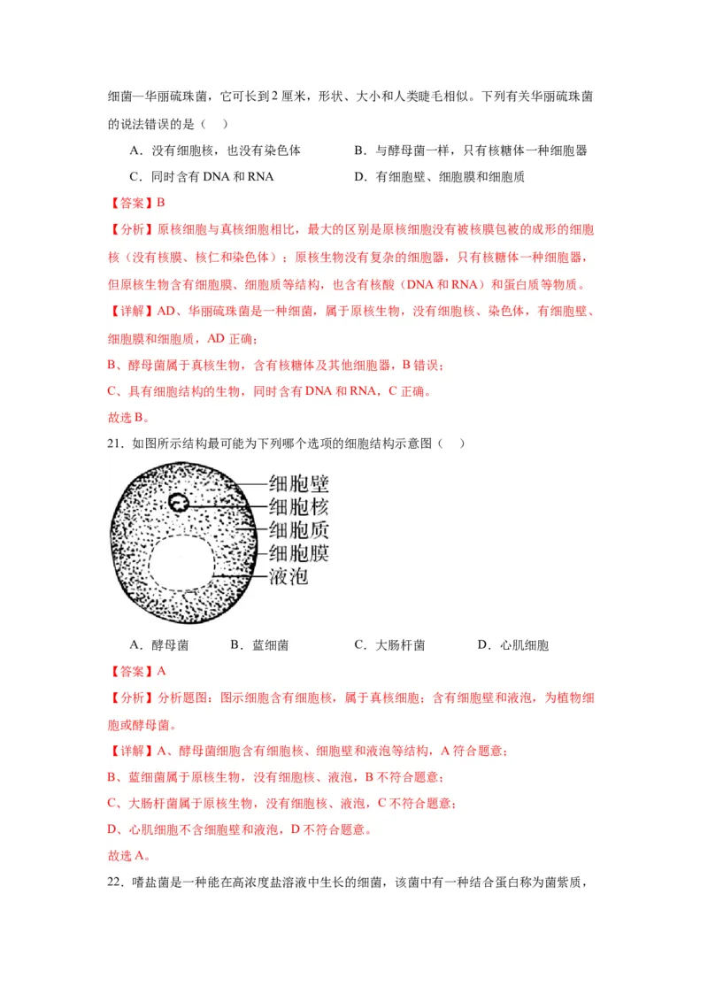 专题1走近细胞（解析版)_2024年新高考资料_3.2024专项复习_备战2024年高考生物一轮复习重难点专项突破_专题01走近细胞-备战2024年高考生物一轮复习重难点专项突破