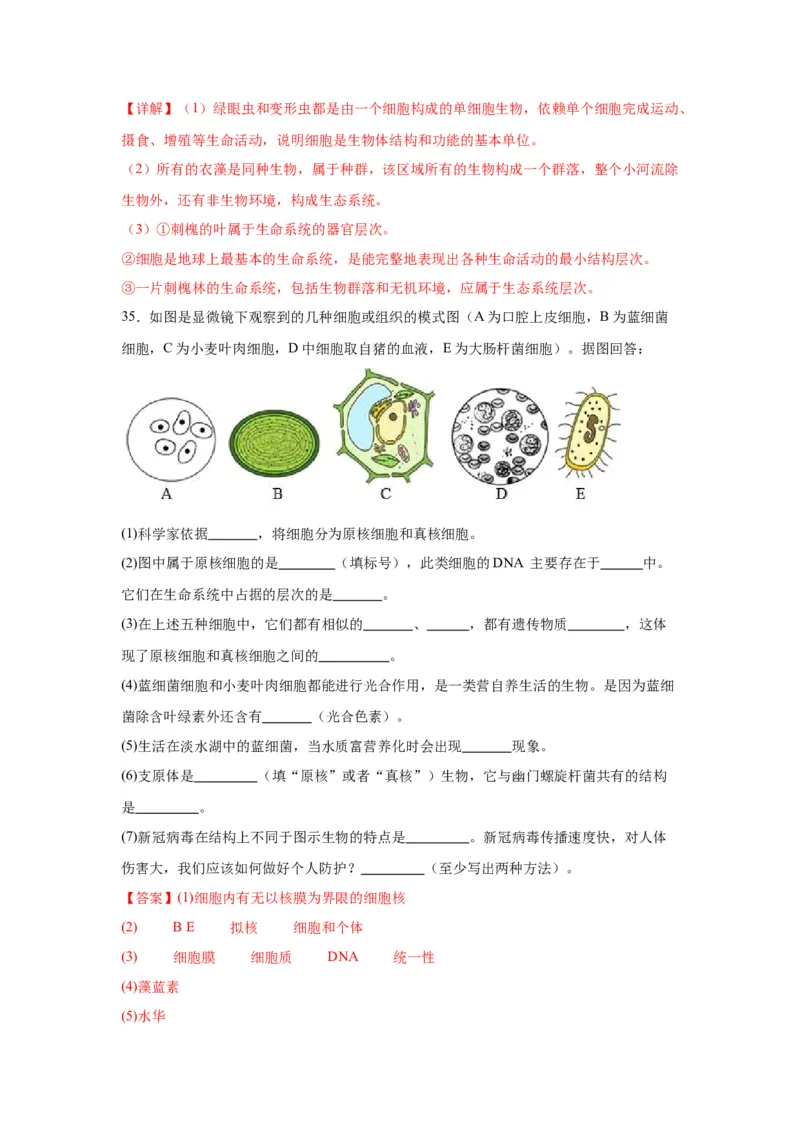 专题1走近细胞（解析版)_2024年新高考资料_3.2024专项复习_备战2024年高考生物一轮复习重难点专项突破_专题01走近细胞-备战2024年高考生物一轮复习重难点专项突破